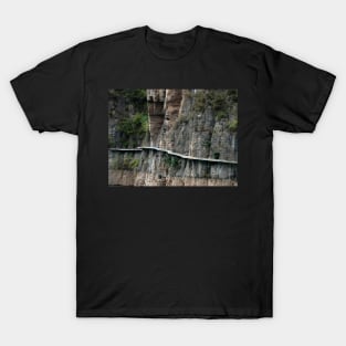 The Long Walk Home T-Shirt